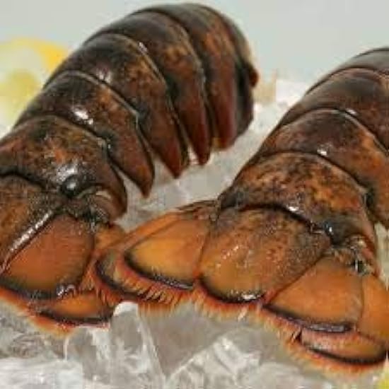 Today Gourmet Foods of NC- Maine Lobster Tails 10-12oz (6 Tails) 719223768