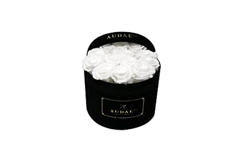 Audae & Co - Preserved Roses in Suede Box - Real Roses 