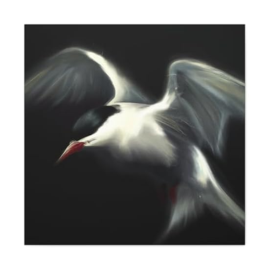 Arctic Tern Portrait - Canvas 30″ x 30″ / Premium Galle