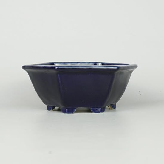 Bonsai Pot, Tokoname, Koyo, Small, Long Side, Approx. 4.9 inches (12.5 cm), Hexagonal Pot, Lapis, Glaze, Actual Product 98668949