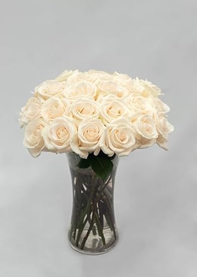 White roses - 50 stems fresh cut flower -Lovely Gift 11