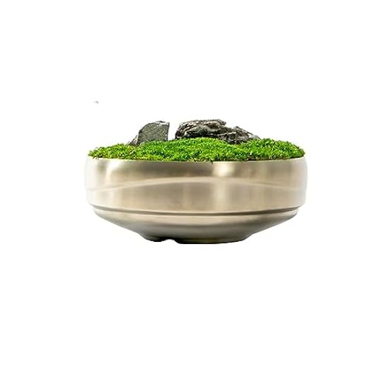 Small Bonsai Tree Chinese Zen Moss Simulation Moss Gree