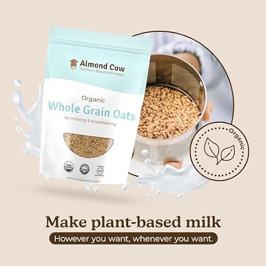 Almond Cow Organic Whole Grain Oats, Natural Organic Oatmeal Breakfast Foods, Unsweetened Oatmeal Bulk for Plant Based Milk Making, Vegan & Keto-Friendly, Non-GMO and Gluten-Free, 3 Pound (Pack of 10) 998437559