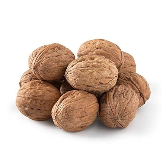 NUTS U.S. - Walnuts In Shell | Grown and Packed in Cali