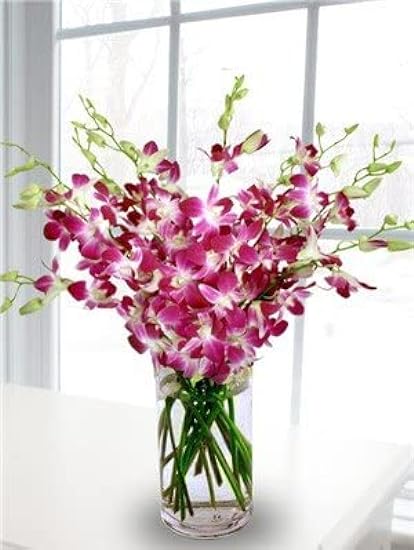 Fresh Cut Orchids - 30 stems Purple Dendrobium Orchids with Big Vase 785278212