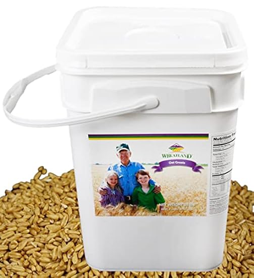 Wheatland Oat Groats • 20 Pound Bucket with Mylar lining • USA Grown • Non-GMO • Lab Tested • Sproutable • Whole Grain • Emergency Food Storage 15 year shelf life 915111251