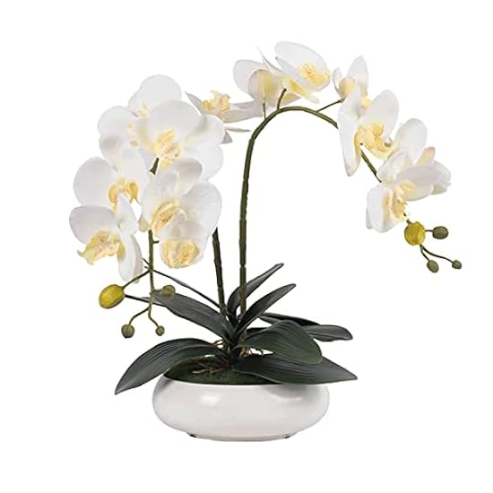 Artificial Bonsai Orchid Bonsai Living Room Coffee Tabl