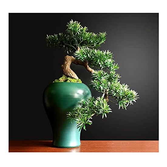Artificial Bonsai Tree Bonsai Tree Faux Pine Tree Bonsa