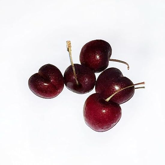 Kejora Fresh Sweet Dark Cherries 2 LB 642509469