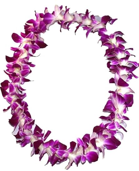 Hawaiian Lei - Fresh Single Strand Orchid Lei - Classic