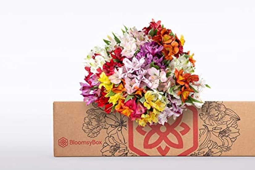 BloomsyBox: 24 Multicolored Alstroemeria Bouquet Flowers, Two Dozen, Long Lasting & Hand-Tied, Farm Fresh Cut Flowers Bouquet, birthday flowers,anniversary Flowers | No Vase 693670975