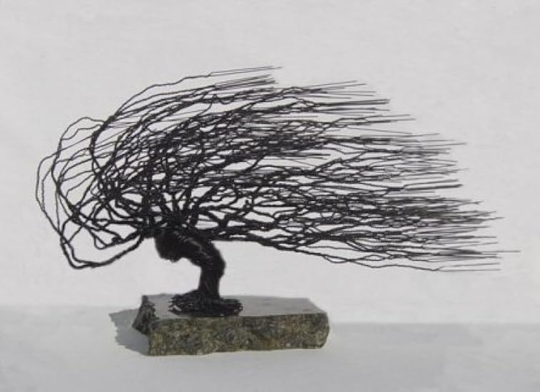 Bonsai Boy w054 Wire Bonsai Tree Sculpture - Windswept Style 817670122