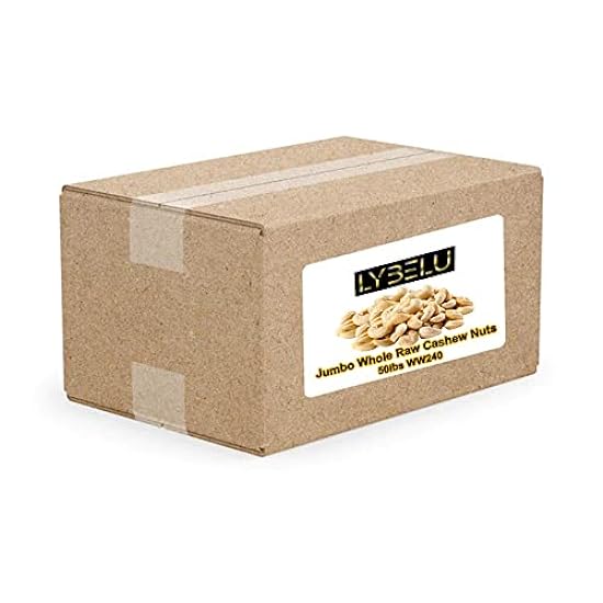 Jumbo Whole Raw Cashews Nuts – 50lbs WW240 742661223