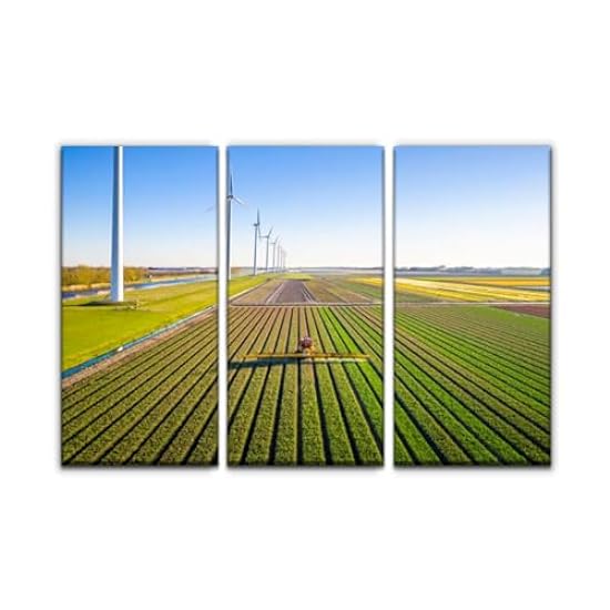 3 Piece Canvas Wall Art Prints Picture Agricultural cro