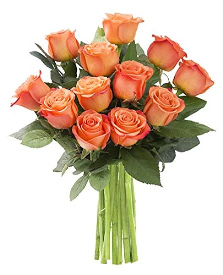 DELIVERY by Tue, 02/20 Guaranteed IF Order Placed by 02/19 Before 2PM EST. KaBloom Valentine´s PRIME NEXT DAY DELIVERY - Bouquet of 12 Fresh Roses | Direct FreshGift for Valentine, Mother’s Day 582994522