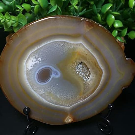 293g Bonsai Suiseki-Natural Cut Agate into Flakes Stone