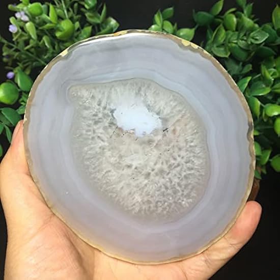 324g Bonsai Suiseki-Natural Cut Agate into Flakes Stone