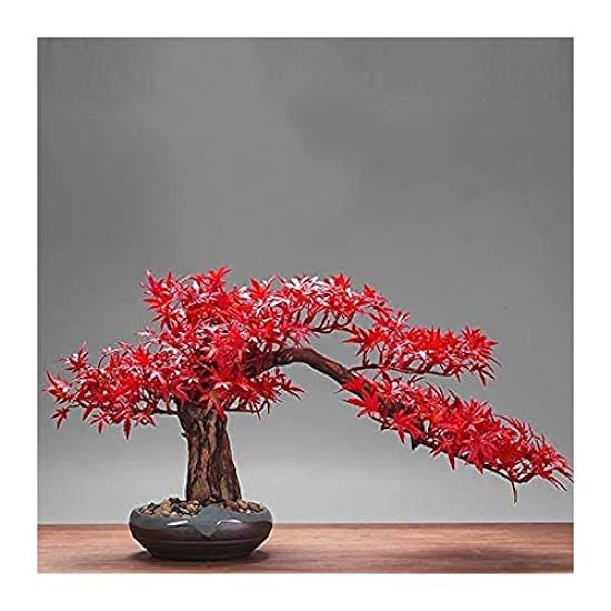 jinyi2016SHOP Artificial Bonsai Tree Artificial Bonsai Tree Fake Red Maple Leaf Artificial Tree Bonsai Style Decoration for Luck and Wealth Fake Bonsai Decor 887057460