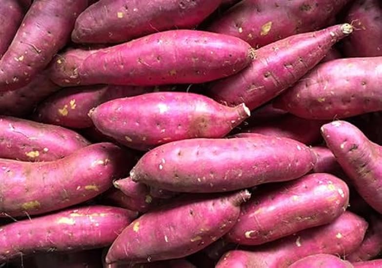Purple-skinned sweet potatoes with yellow flesh-5lb 524388311