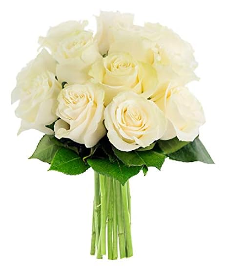 KaBloom PRIME NEXT DAY DELIVERY - Bouquet of 12 Fresh White Roses| Fresh For Delivery Prime.Gift for Birthday, Sympathy, Anniversary, Get Well, Thank You, Valentine, Mother’s Day Fresh Flowers 40405512