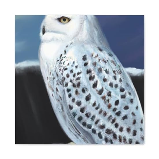 Owl in Fresh Snow - Canvas 20″ x 20″ / Premium Gallery 