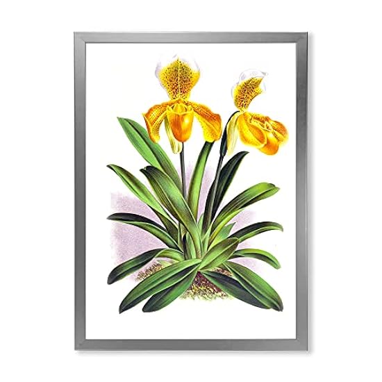 DesignQ Vintage Yellow Orchid Traditional Framed Wall Art 468231997