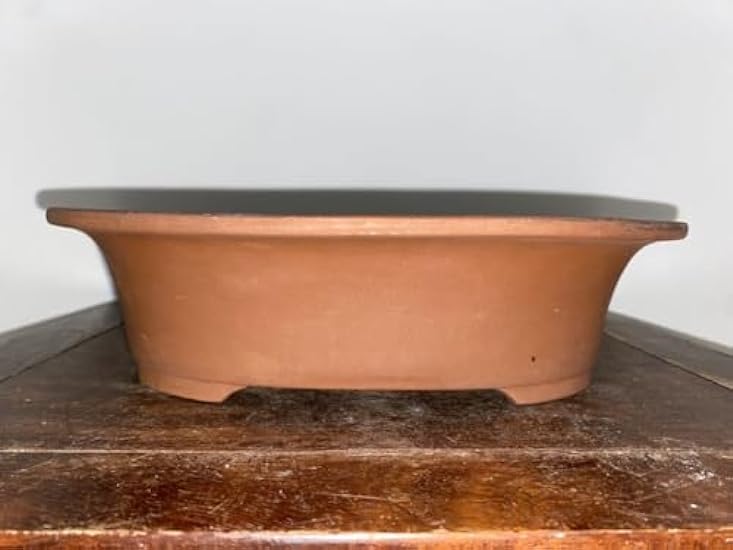 Bonsai Pot, Ceramic, Oval, Vermilion, Pine Bonsai, Smal