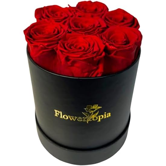 Flowertopia® Forever Flowers in a Round Box with 7 Prem