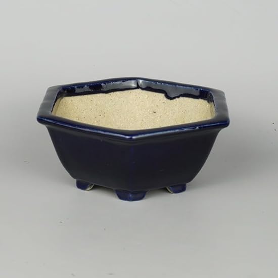 Bonsai Pot, Tokoname, Koyo, Small, Long Side, Approx. 4.9 inches (12.5 cm), Hexagonal Pot, Lapis, Glaze, Actual Product 98668949