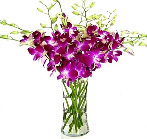 Fresh Cut Flowers -Dendrobium Purple Orchids with Vase Gift for Birthday, Sympathy, Anniversary, Get Well, Thank You, Valentine, Mother’s Day Flowers 937969602