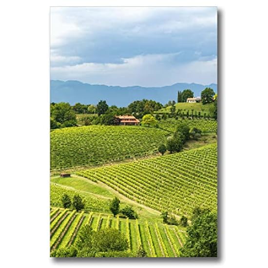 Canvas Wall Art Prints Picture Susegana View vineyards 