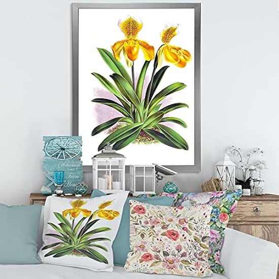 DesignQ Vintage Yellow Orchid Traditional Framed Wall Art 468231997