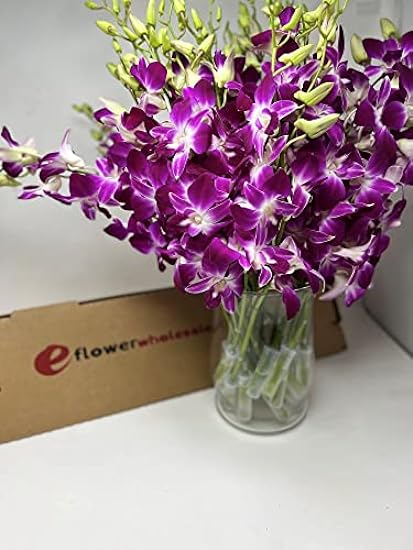 Fresh Cut Orchids - 30 stems Purple Dendrobium Orchids with Big Vase 785278212
