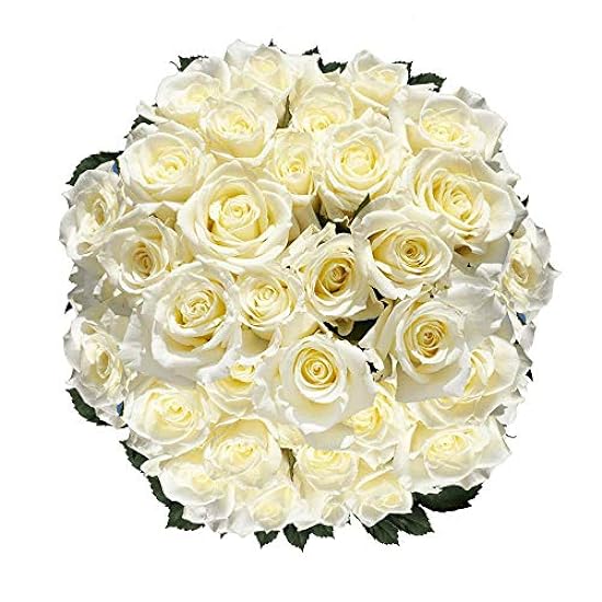 GlobalRose Flowers 100 White Rose Special- Perfect For 