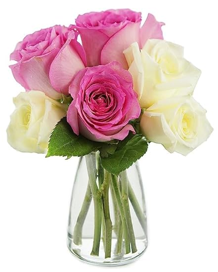 DELIVERY by Tue, 02/20 Guaranteed IF Order Placed by 02/19 Before 2PM EST. KaBloom Valentine´s PRIME NEXT DAY DELIVERY - Bouquet of 3 Pink Rose 3 White Rose With Vase Gift for Valentine, Mother’s Day 615793992