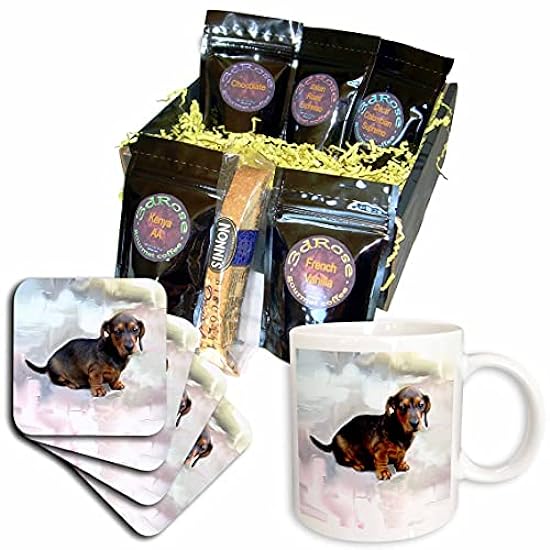 3dRose Miniature Dachshund Coffee Gift Basket, Multi 883512690