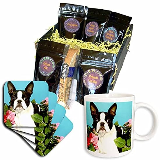 3dRose cgb_893_1 Emma Boston Terrier-Coffee Gift Basket, Multicolor 356809899