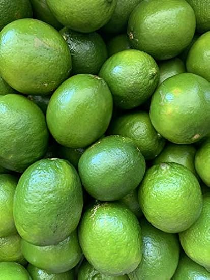 Kejora Fresh Seedless Persian Limes - 5 lb 190124403