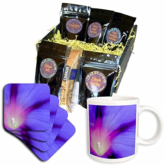 3dRose Macro of A Royal Purple Ipomoea Flower - Coffee 