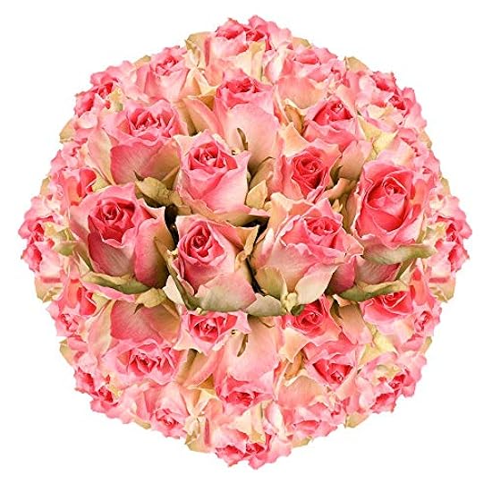 GlobalRose 100 Fresh Cut Light Creamy Pink Roses - Mich