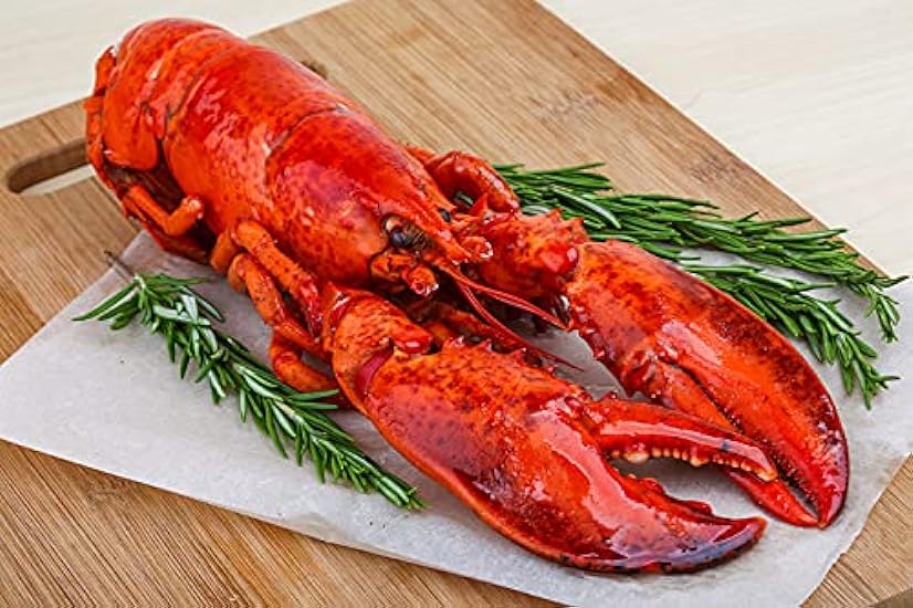 1 and 1/8 lb Live Maine Lobster - Pack of 10 674245286