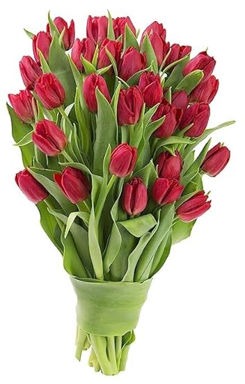 KaBloom PRIME NEXT DAY DELIVERY - Red Tulip Bouquet (30