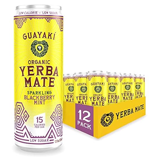 Guayaki Yerba Mate, Sparkling Clean Energy Drink Altern