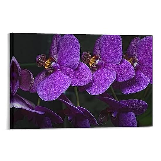 Wallpapers Orchid, Tropical Flowers, Purple Orchid, Pur