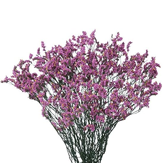 GlobalRose 30 Stems of Purpple Limoniums Flowers - Fresh Flowers for Delivery 890849308