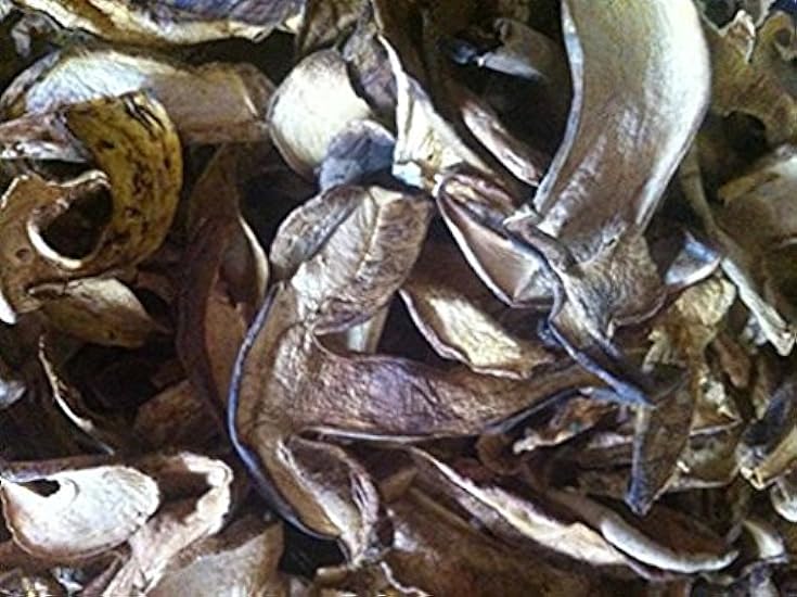 1 Pound (454 grams) Boletus luteus mushroom dried Grade A yellow porcini from Yunnan China （中国云南） 687959581