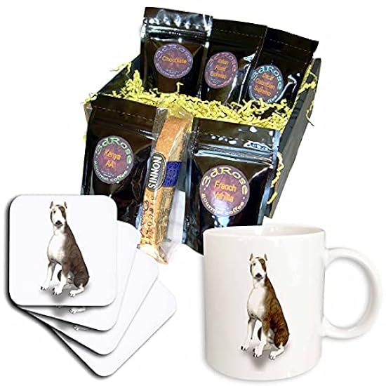 3dRose cgb_49059_1 Bull Terrier Sitting-Coffee Gift Bas