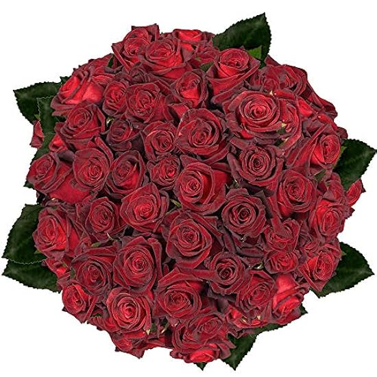 GlobalRose 100 Fresh Cut Dark Red Roses - Long Stem Ros