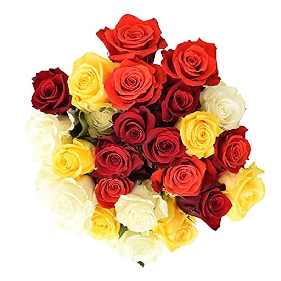 Greenchoice Flowers Fresh Bouquet | 24 Mixed Roses | Fr