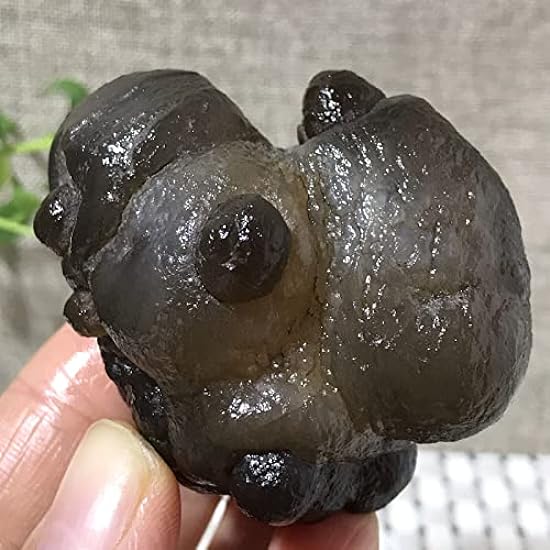 120g Bonsai Suiseki-Natural Gobi Agate Eyes Stone-Rare 